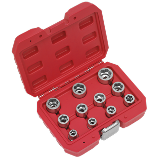 Sealey  AK7281 11pc 3/8"Sq Drive Bolt Extractor Set