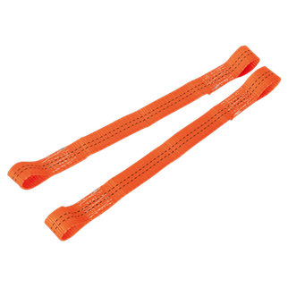 Sealey - TDL01  Tie Down Securing Loop - Pair